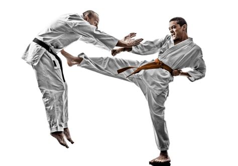 Apa Pengertian Karate di Indonesia?
